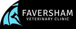 Faversham Vets